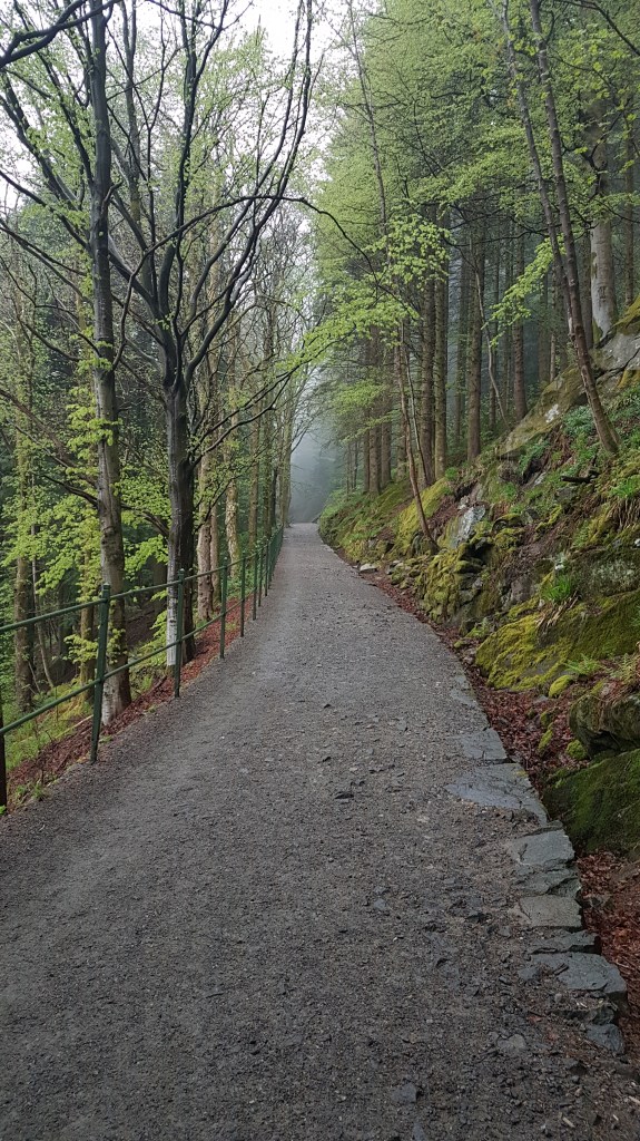 Bergen - på tur opp til Fløyen